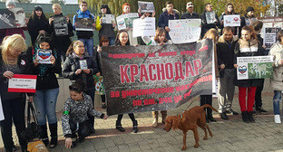 Около 200 человек в Краснодаре приняли участие в пикете против насилия над животными