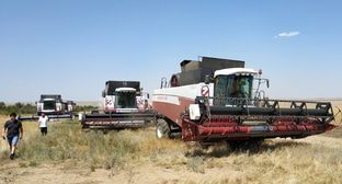 Калмыцкий фермер заявил о причастности силовиков к захвату урожая