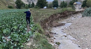 Найдено тело пропавшей после схода селя жительницы Дагестана