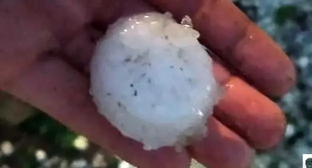  ���� �������� ������ ������� ������� ��������� �������� 