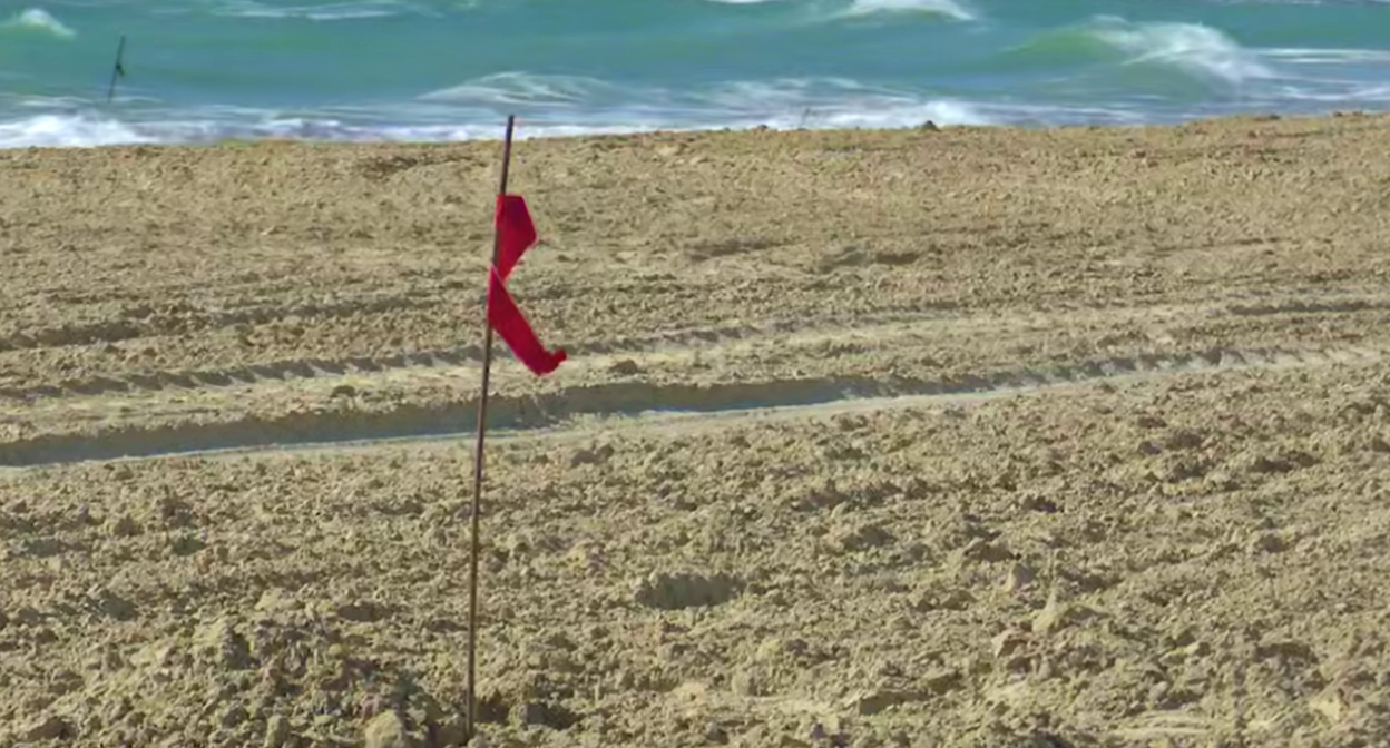 Новый песок на пляже "Мираклеон". Стоп-кадр видео оперштаба Краснодарского края от 11.03.25, https://t.me/opershtab23/15355 Новый песок на пляже "Мираклеон". Стоп-кадр видео оперштаба Краснодарского края от 11.03.25, https://t.me/opershtab23/15355