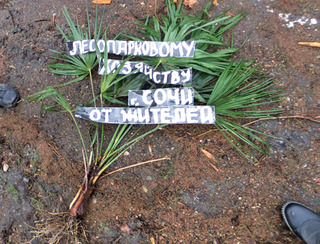 Такой "символичный венок» с вырванной с корнем пальмой,  был передан лично руководителю УЛПХ Сочи  на ул. Гагарина, 73, - Елене Соколинской 11 января 2012 года. Фото Светланы Кравченко для "Кавказского узла"