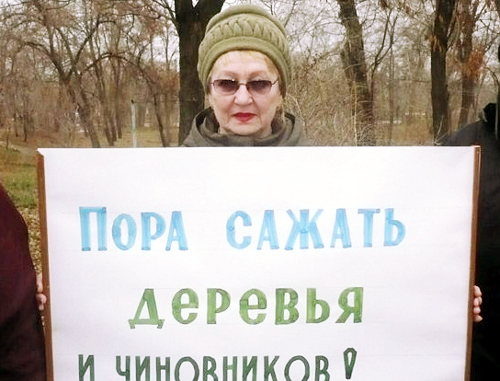 Участница акции против вырубки деревьев. Волгоград, 29 ноября 2012 г. Фото Татьяны Филимоновой для "Кавказского узла"