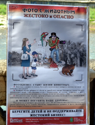 Плакат против фотобизнеса на животных. Фото Светланы Кравченко для "Кавказского узла"