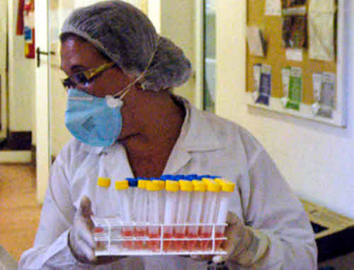 Пробы на "свиной грипп". Фото: http://www.flickr.com/photos/governo_de_minas_gerais