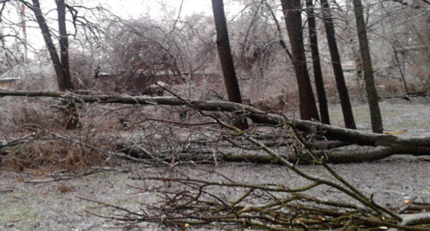 После ледяного дождя в Краснодаре. 21 января 2014 г. Фото Натальи Дорохиной для "Кавказского узла"