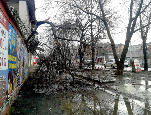 Последствия ледяного дождя в Краснодаре. 22 января 2014 г. Фото Натальи Дорохиной для "Кавказского узла"