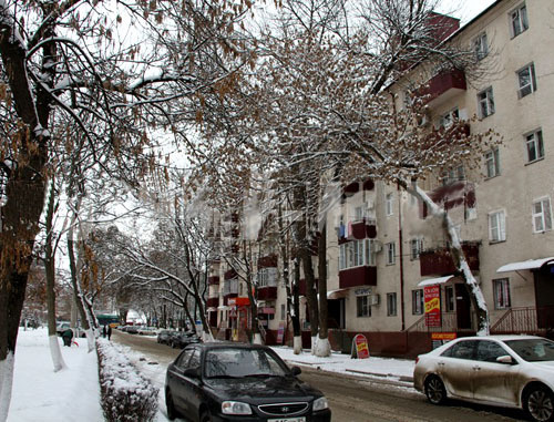 Снег в Грозном. Январь 2014 г. Фото Фаизы Халимовой http://www.grozny-inform.ru/