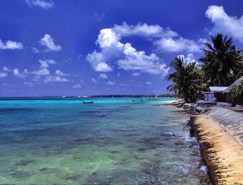 Пляж атолла Фунафути, острова Тувалу. Фото: mrlins http://ru.wikipedia.org/