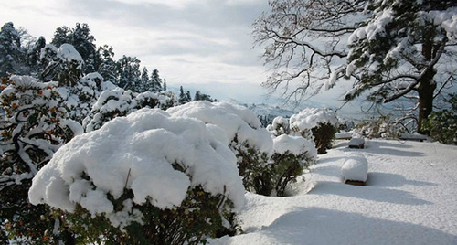Зима в Батуми. Фото: http://batumi.by/wp-content/uploads/1.jpg