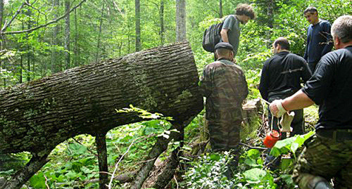 Сотрудники "ЭкоВахты" осуществляют мониторинг вырубки леса в районе реки Шумичка. Фото: http://www.ewnc.org/?q=node/356