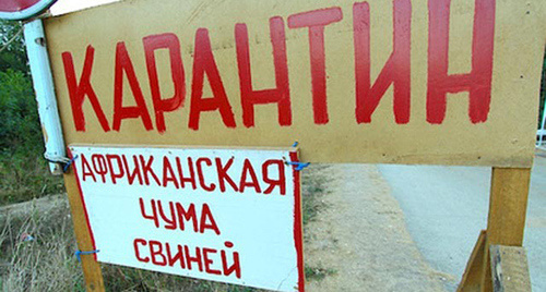 Самодельная табличка "Карантин". Фото: http://bloknot-volgograd.ru/thumb/640x0xcut/upload/iblock/d1d/y302025520032_a.jpg