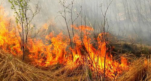Пожар. Фото: http://news.gisher.ru/ru/society/v-ra-obyavlena-pojaroopasnaya-situaciya-5-stepeni.html
