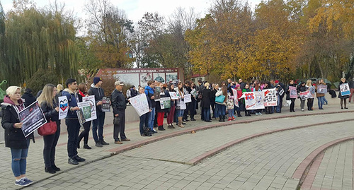Пикет против насилия над животными в Краснодаре. Фото Алексея Мандригели для "Кавказского узла"