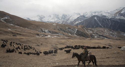 Северная Осетия. Фото: REUTERS/Kazbek Basayev