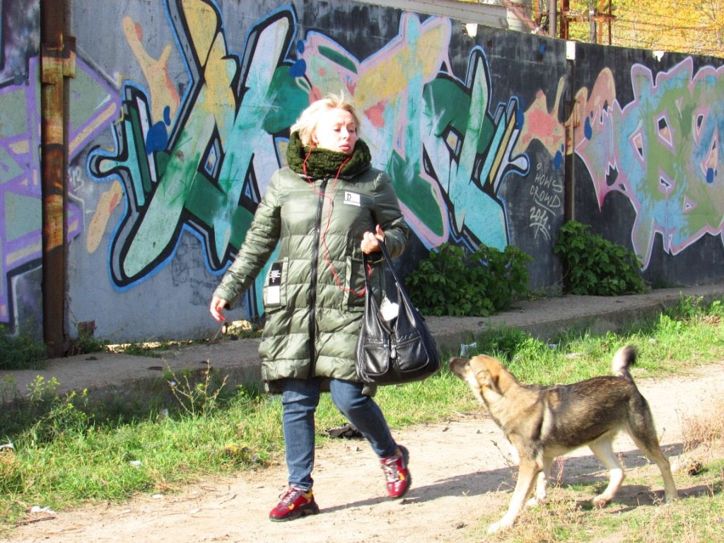 Собака преследует женщину в Волгограде. Фото Вячеслава Ященко для "Кавказского узла"