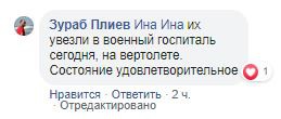 Скриншот комментария на странице Зураба Плиева в Facebook. https://www.facebook.com/photo.php?fbid=2622702677821087&set=a.589239387834103&type=3&theater