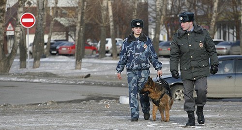 Кинологи с собакой. Фото: REUTERS/Ilya Naymushin