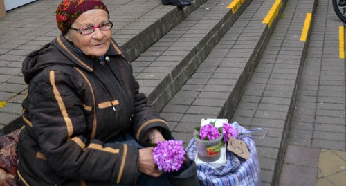 Пенсионерка торгует первоцветами. Фото Светлана Кравченко для "Кавказского узла"
