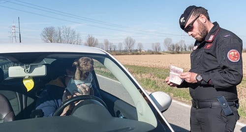 Итальянский офицер военной полиции проверяет документы автомобилиста, едущего со своей собакой в Сан-Фьорано. Фото: Reuters/Marzio Toniolo.