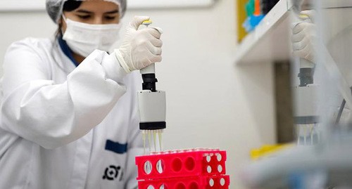 Сотрудник лаборатории диагностирует тесты на вирус. Бразилия, март 2020 г. Фото: REUTERS/Rodolfo Buhrer