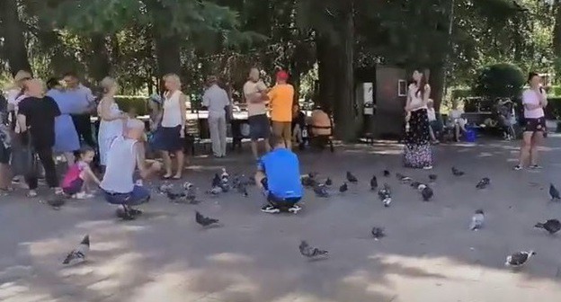 Акция "кормления голубей" в поддержку жителей Хабаровска в Сочи. Фото Светланы Кравченко для "Кавказского узла"