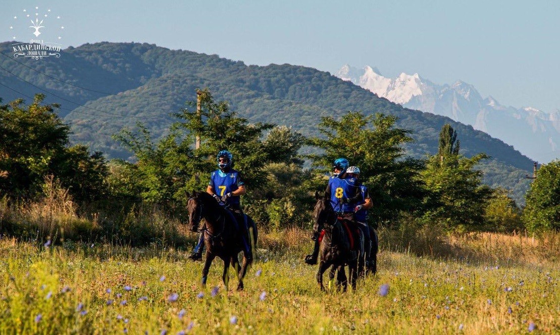 Пробег лошадей кабардинской породы "Черкесское дерби". Снимки предоставлены "Кавказскому узлу" Билалом Сарханом.