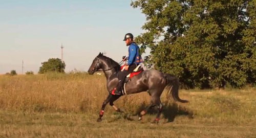 Участник  "Черкесского дерби". Кадр видео канала Circassian horseman https://www.youtube.com/watch?v=03jzC634LIQ&feature=emb_logo