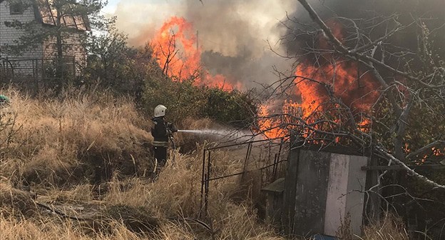 Степной пожар в Волгоградской области. Фото: пресс-служба МЧС России https://34.mchs.gov.ru/