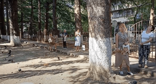 Сквер в Центральном районе Сочи. Фото Светланы Кравченко для "Кавказского узла".