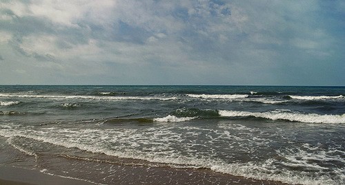 Берег Черного моря. Фото: Max071086 https://ru.wikipedia.org/