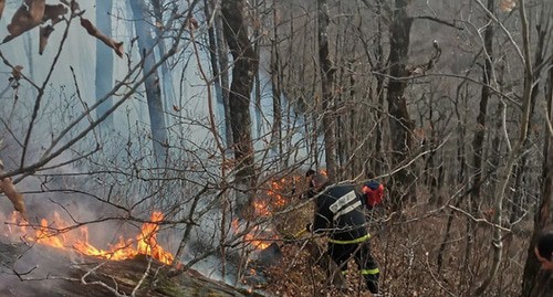 Тушение лесного пожара. © Фото пресс-службы ГУ МЧС России по Краснодарскому краю