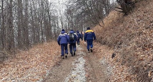 Спасатели во время поисков жителей Ачхой-Мартана, которые ушли в лес для сбора черемши. Фото пресс-службы МЧС Чечни https://95.mchs.gov.ru/deyatelnost/press-centr/novosti/4379940