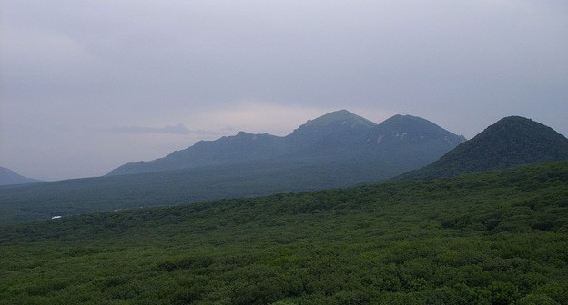 Бештаугорский заказник. Фото: LxAndrew https://ru.wikipedia.org/