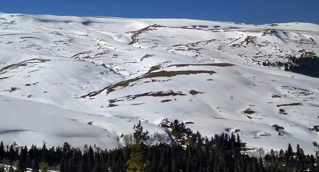 Плато Лаго-Наки. Фото: официальный сайт Экологическая вахта по Северного Кавказу http://www.ewnc.org/node/27357