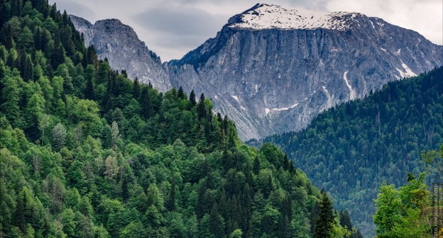 Горы Абхазии. Фото: Елена Синеок, "Юга.ру"