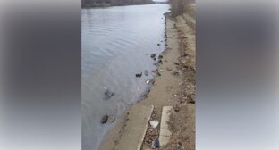 Спасатели зафиксировали загрязнение реки в Астрахани нефтепродуктами