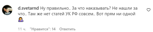 Скриншот комментария пользователя d.svetarnd к записи в Instagram-паблике gorod_rostov от 11.01.2021.