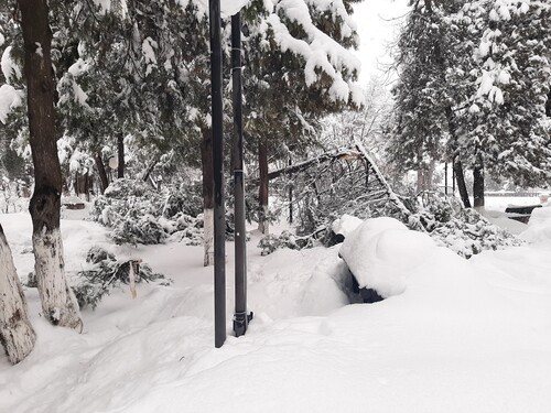 Под тяжестью снега в Степанакерте ломаются деревья. 20 марта 2022 года. Фото Алвард Григорян для «Кавказского узла»
