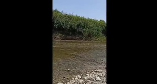 Видео с призывом не загрязнять реку Сунжу нашло поддержку в соцсетях