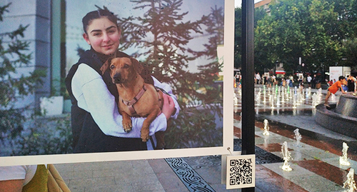 Фотовыставка о домашних питомцах в Нагорном Карабахе. Ереван, 19 июля 2023 г. Фото Армине Мартиросян для "Кавказского узла"