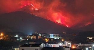 Экологи подвергли сомнению данные властей о масштабах пожара в Геленджике