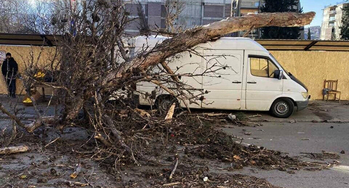 Последствия урагана в Грузии. Фото: https://www.tbilisi.gov.ge