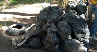Астраханцы самостоятельно очистили рощу от мусора
