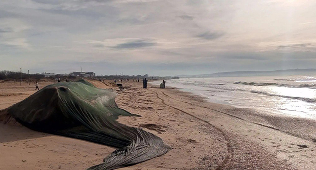 Пляж в Краснодарском крае. Январь 2026 г. Скриншот видео https://t.me/opershtab23/14772 Пляж в Краснодарском крае. Январь 2026 г. Скриншот видео https://t.me/opershtab23/14772