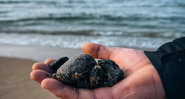 Мазутная крошка, найденная на пляже. 28 января 2026 г. Фото: https://t.me/setisitolopata/2389 Мазутная крошка, найденная на пляже. 28 января 2026 г. Фото: https://t.me/setisitolopata/2389