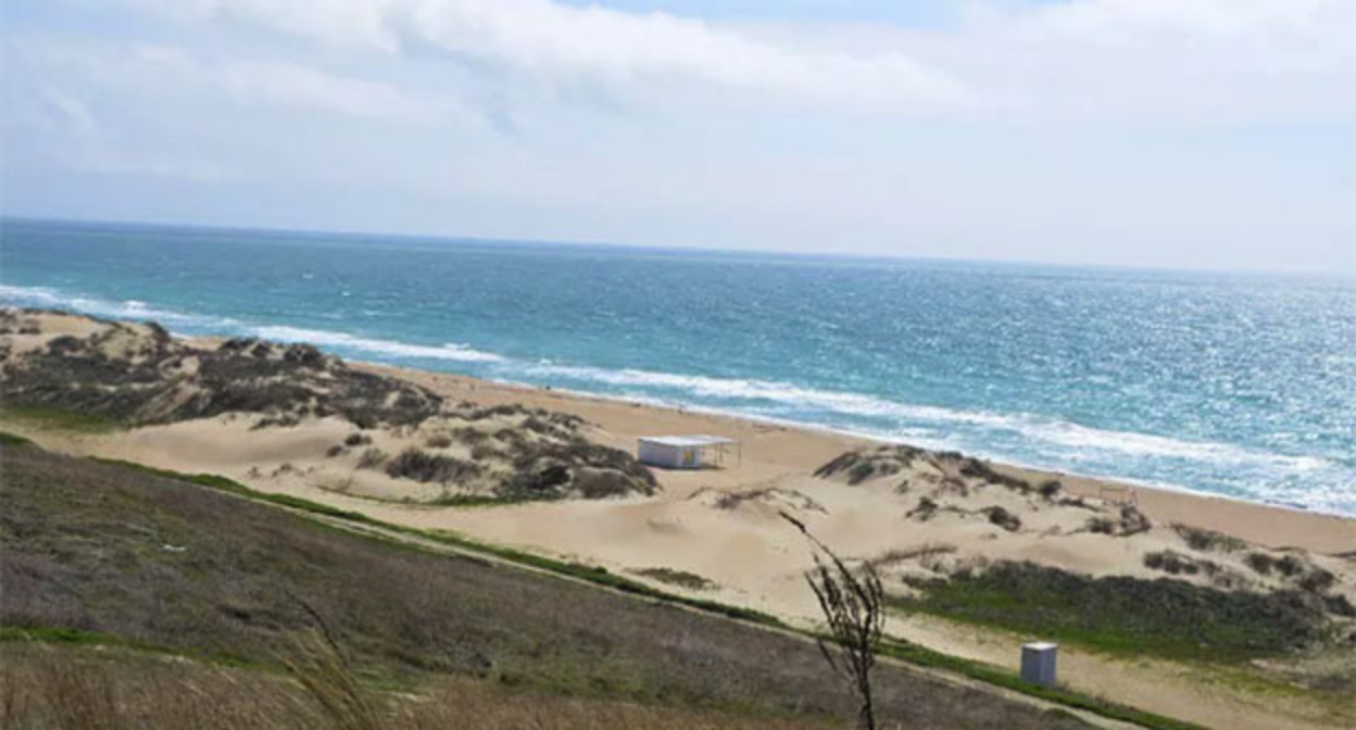 Пляж в станице Благовещенская. Скриншот фото из телеграм-канала «Анапское Черноморье», Black_sea_2018 Пляж в станице Благовещенская. Скриншот фото из телеграм-канала «Анапское Черноморье», Black_sea_2018