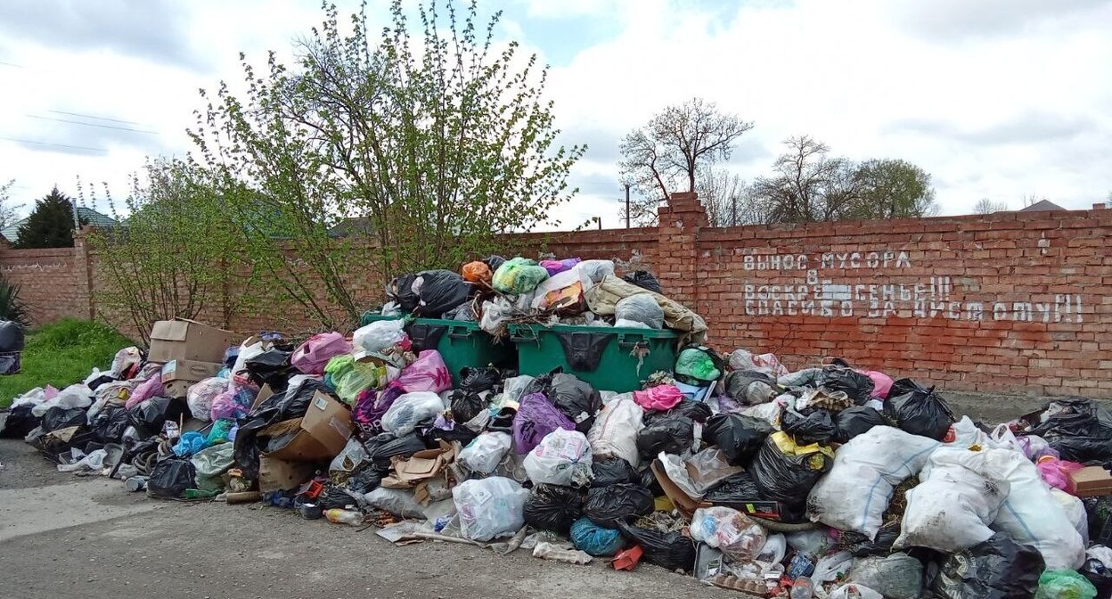 Мусор в Нальчике. Фото корреспондента "Кавказского узла". Мусор в Нальчике. Фото корреспондента "Кавказского узла".