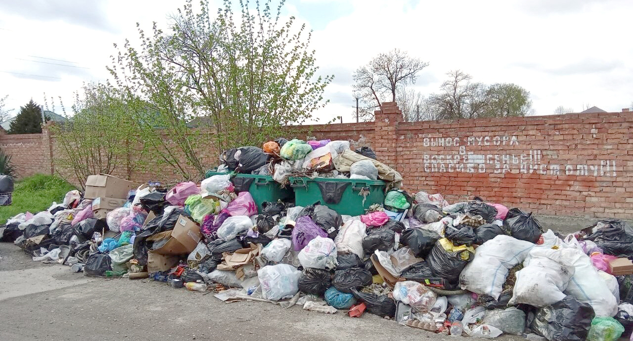 Мусор в Нальчике. Фото "Кавказского узла". Мусор в Нальчике. Фото "Кавказского узла".