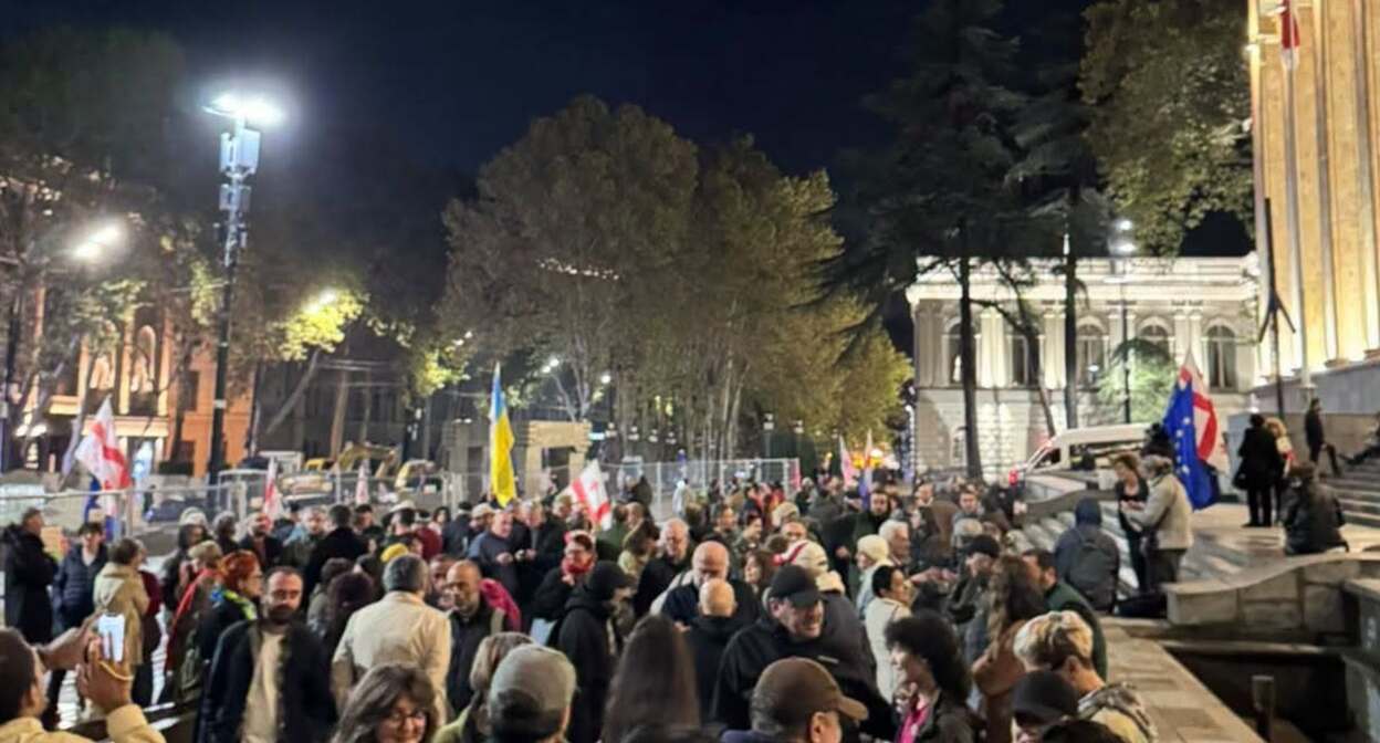 Участники акции протеста перед парламентом Грузии. Фото: Фото: Giorgi Mumladze / Facebook* Участники акции протеста перед парламентом Грузии. Фото: Фото: Giorgi Mumladze / Facebook*